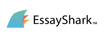 write my essay